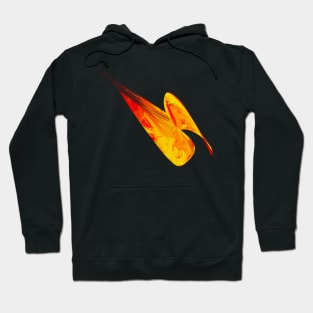 Abstract duck Hoodie